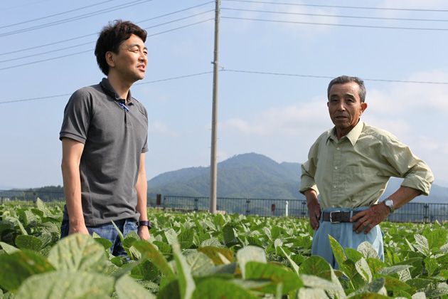 仕事イメージ　だだちゃ豆畑取材2