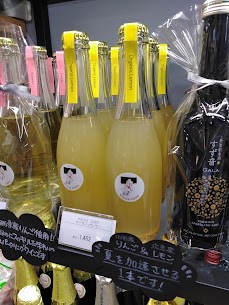 山形県鶴岡市の「HOCCA ワイナリー」さんより限定品「シードルオーガニックレモン」が届きました🍋 山形県産りんごの甘味と広島県産無農薬レモンの刺激的な酸味が夏の気分を盛り上げてくれます！☀️ BBQ やパーティーのお供にどうぞ🥂