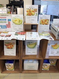 庄内砂丘メロンご予約承り中です🍈 7月お届けになるのでお中元にもぴったりです。 食べ頃の目安付きのしおりが付くので安心！ お早めにご予約ください🎁