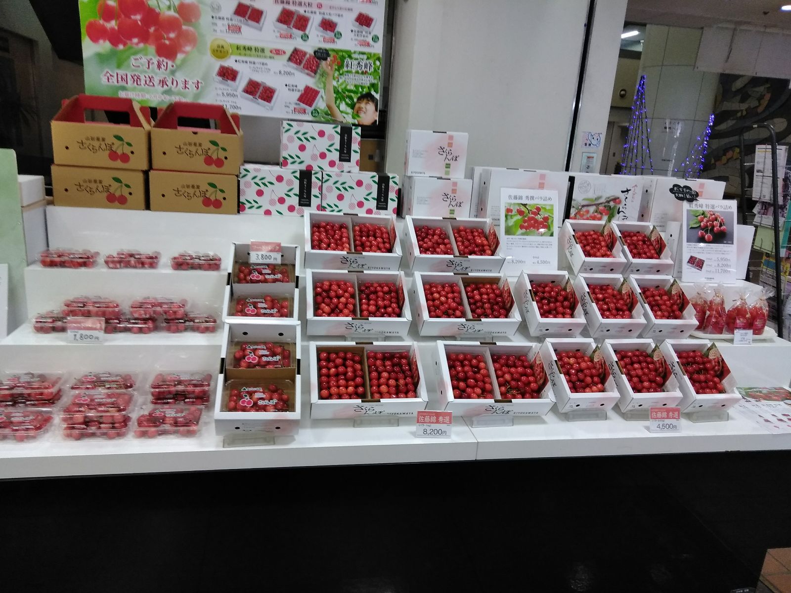 さくらんぼ「佐藤錦」始まりました～🍒 例年より早くお店に並びました！ ぜひお越しくださいませ🎶