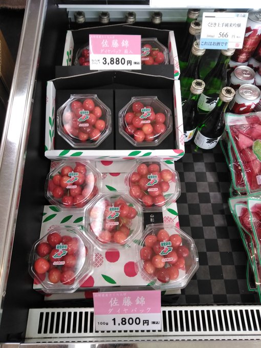 温室そだちさくらんぼ🍒 ひと足早くさくらんぼが入荷しました✨ 温室の中で大切に育てられた希少なさくらんぼです！ 大切な人への贈り物や自分へのプチ贅沢をしてみてはいかがでしょうか😊