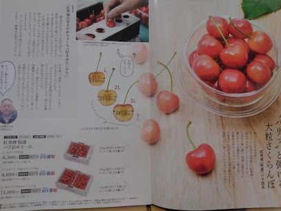 温室育ち紅さやかのご注文締切日が5月22日と迫っております。知名度NO,１の佐藤錦のご注文締切日は6月9日ですが限定数に達し次第終了致しますので、是非お早めにm(_ _”m)✨ 紅秀峰のご注文締切日は6月16日です。