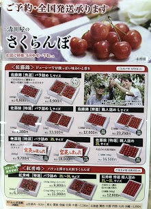 山形さくらんぼご予約承り中です🍒大切な方へ贈りませんか。ヨーク店では店頭には並ばず、産地直送のご予約のみ6/9(月)までです‼︎ すでに完売商品も出てきておりますのでお早めにご予約ください♪