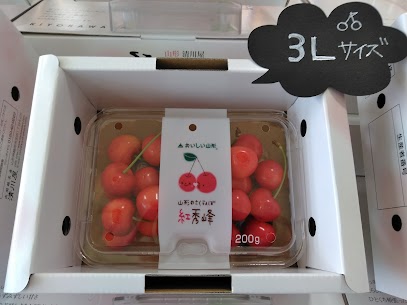 【今日のさくらんぼ🍒】 紅秀峰は粒が大きくて酸味が少なく、甘みが強い品種です😋 食べたことがない方はぜひご賞味ください✨