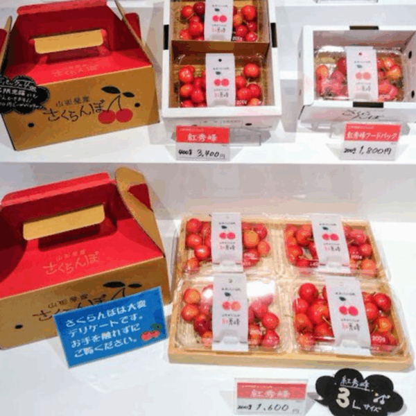 本日もさくらんぼ【紅秀峰】店頭に並んでおります🍒 今年最後のさくらんぼです…！ 数に限りがありますので、お早めにお買い求めください☺️