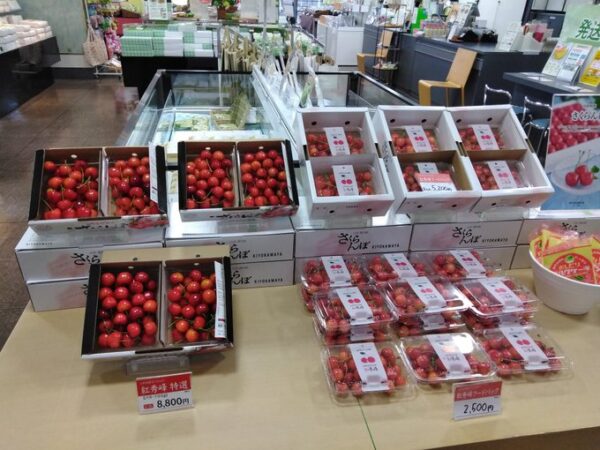 紅秀峰入荷しました~🍒お土産や贈り物にぜひいかがでしょうか