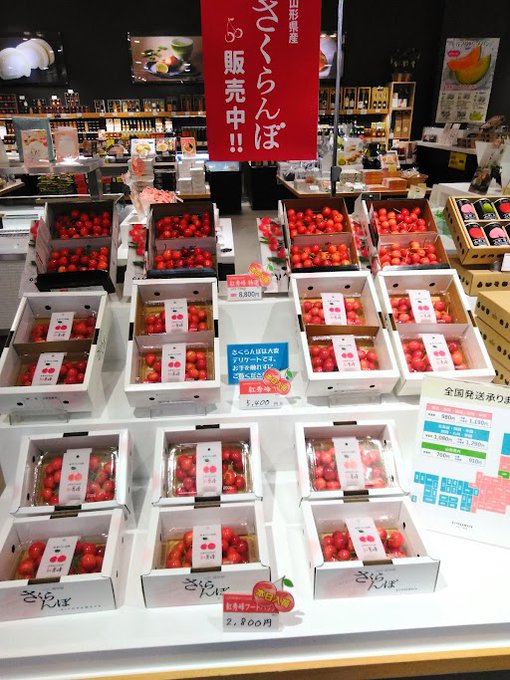 本日、さくらんぼ【紅秀峰】入荷いたしました🍒今年最後になるかもしれないさくらんぼ…数に限りがございますのでお早めにお買い求めください♪