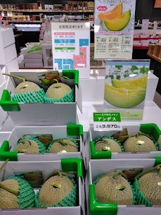 こんにちは！イオン南店です🐶 今年初のメロン様販売中です🍈✨ 発送もOKです😍 ご来店お待ちしております♪