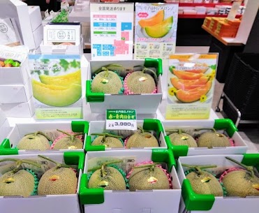 【山形県庄内産砂丘メロン】入荷しました🍈 赤肉・青肉2玉詰合せとなっております。 まるまる太ったメロン様はとっても美味しそうです✨