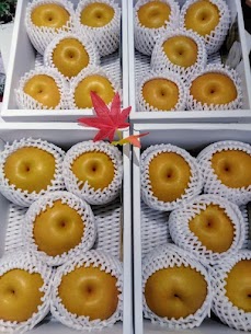 清川屋酒田イオン南店で刈屋梨豊水を販売しています🍐✨ とってもジューシーで、甘みと酸味がちょうどいいの～💖 今が旬の果物だからみんなに食べて欲しいな🐻❤️