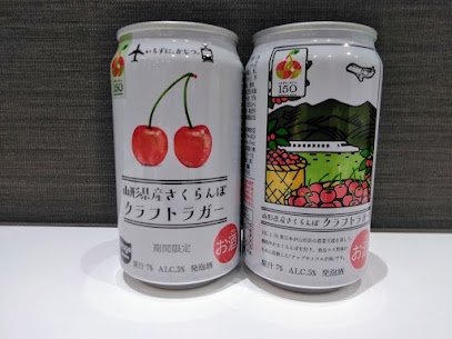 山形県産さくらんぼクラフトラガーを紹介です🍺さくらんぼの香りが、缶を開けた瞬間に香ります🍒果汁7％で贅沢な味わいです。口に広がるやわらかな甘酸っぱさとラガーならではの清涼感を是非味わってほしいです🥰