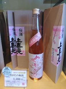 【上喜元　やまがた　梅酒】春を感じる華やかなデザイン🌸 酒田産の「おばこ梅」を出羽燦々の純米酒で仕込んであります！ 更に遊佐町産の蜂蜜を使用し上品な甘さに✨ 全てが山形づくしの自慢の逸品如何でしょう(*^-^*)