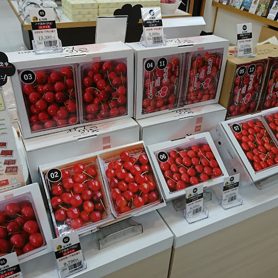 今年もさくらんぼ🍒のご予約始まりました！山形といえばさくらんぼ！✨甘くてみずみずしい旬の味覚をぜひお楽しみください✴️ 売り切れ商品もあるので、お早めにお求めください☺️