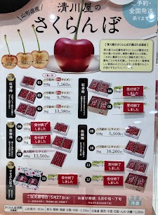 清川屋のさくらんぼ🍒佐藤錦・紅秀峰まだご予約できるアイテムがあります✨今年の生育状況は平年より1週間程早い見込みですので、山形のさくらんぼを贈りたい方はお早めにご予約ください