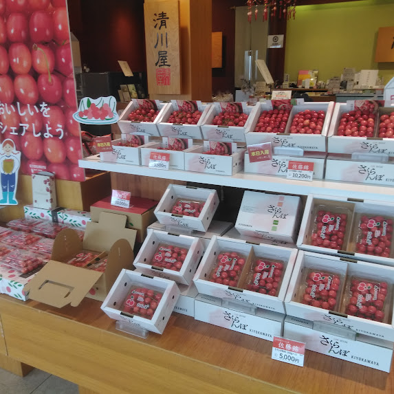 佐藤錦が入荷しました🍒甘みと酸味のバランスが絶妙な、まさに今が旬の美味しさです🍒👍旬の時期は短いため、なくなり次第終了となります💦今だけの味覚をぜひお楽しみください😋地方発送も承っております