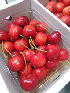 さくらんぼ【紅秀峰】🍒入荷しております✨キラキラでぷりぷりの実が大粒なので食べ応え抜群です🤤！贈り物にもピッタリですよ～🎁