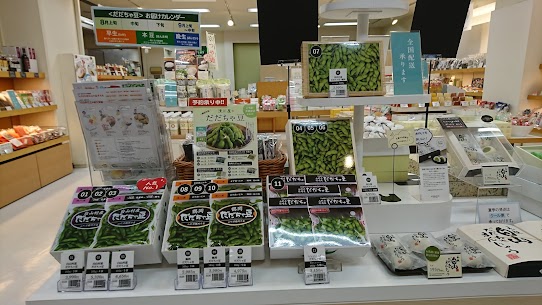 📢だだちゃ豆のご予約始まりました❗一度食べたら忘れられない、豊かな香りと甘みが特徴。早生と本豆の収穫時期ごとの味を楽しむのもおすすめ☝️ぜひ一度食べていただきたい自慢のだだちゃ豆です！✊